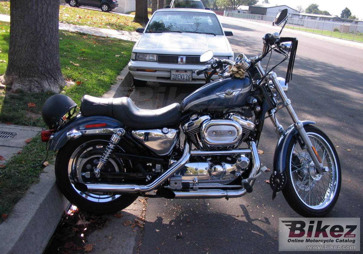 Big nymous user. xl 1200c sportster 1200 custom picture and wallpaper from Bikez.com